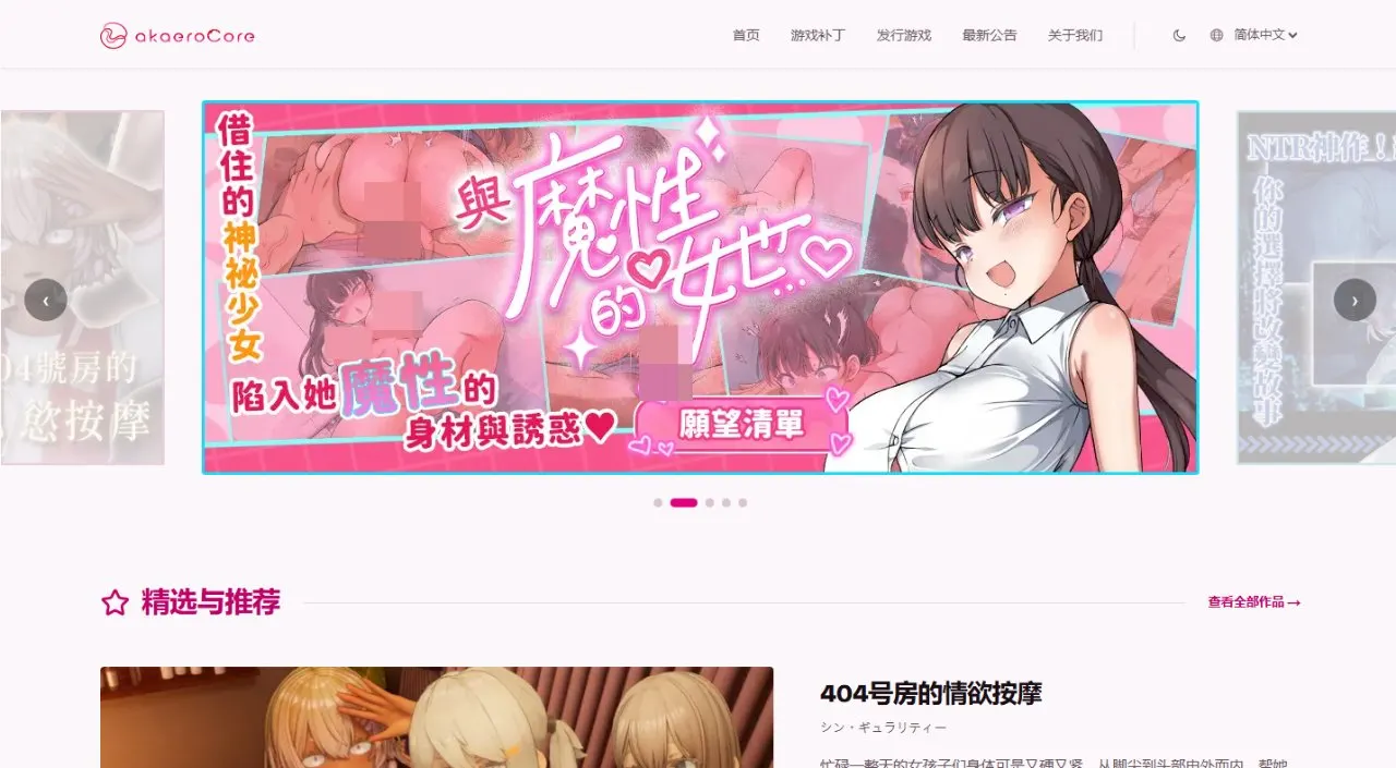 akaerocore 站点截图