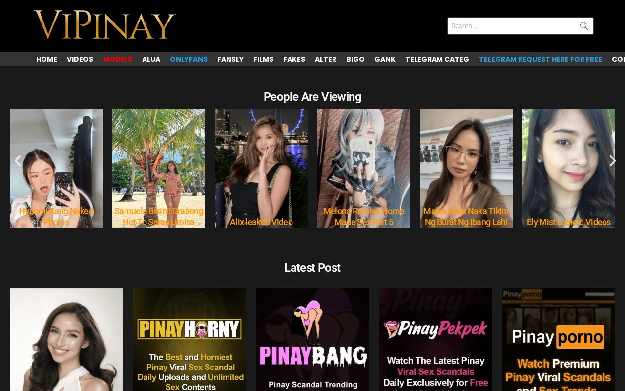 ViPinay